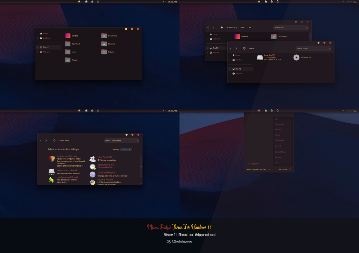 Miami budgie Theme For Windows 11